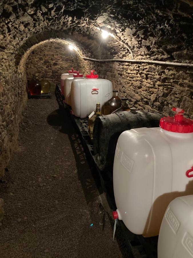 Ubytovani Smudla Znojmo Zewnętrze zdjęcie